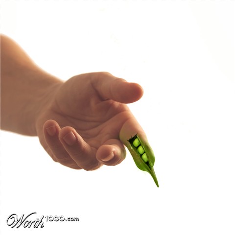 Photoshop Design by kts881