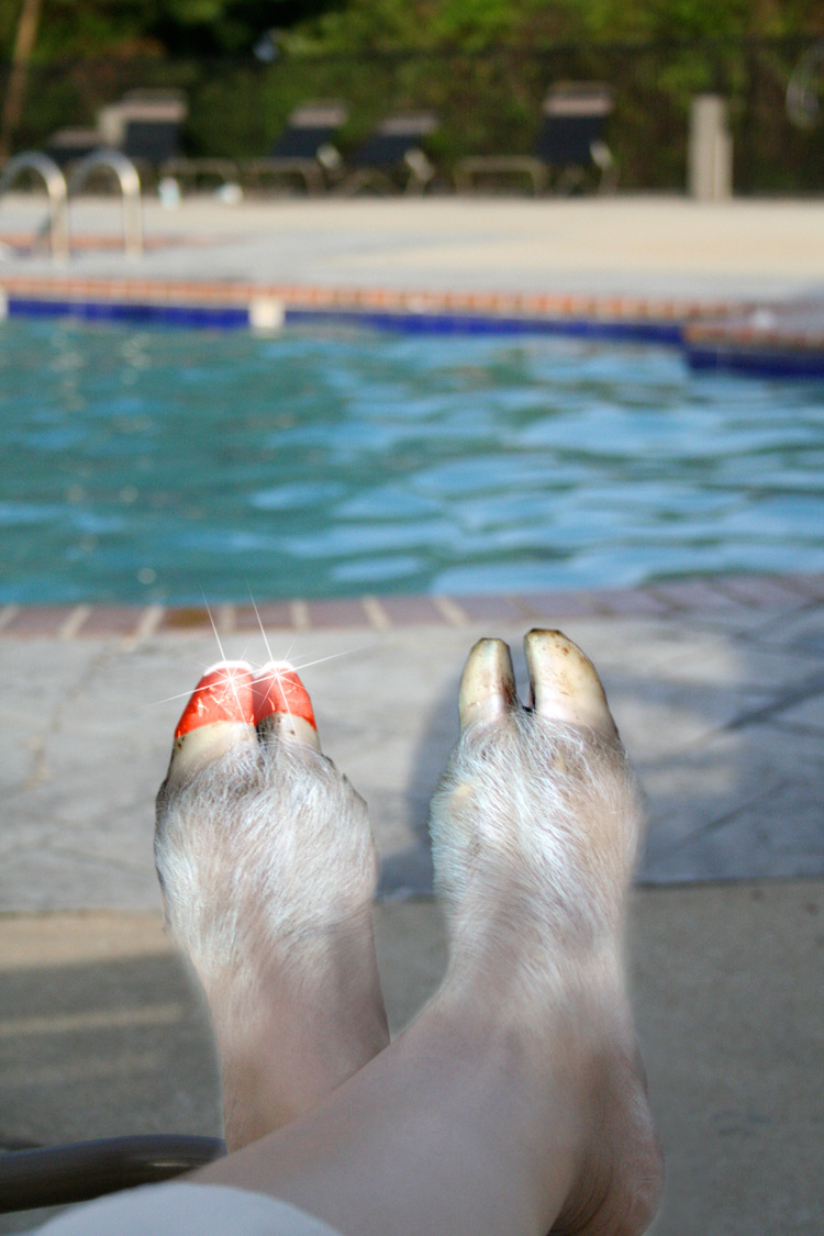 Diseño de Photoshop por Webfreak para DesignCrowd (Community Contests) | Diseño #8957517