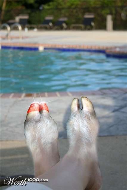 Photoshop Design by Webfreak