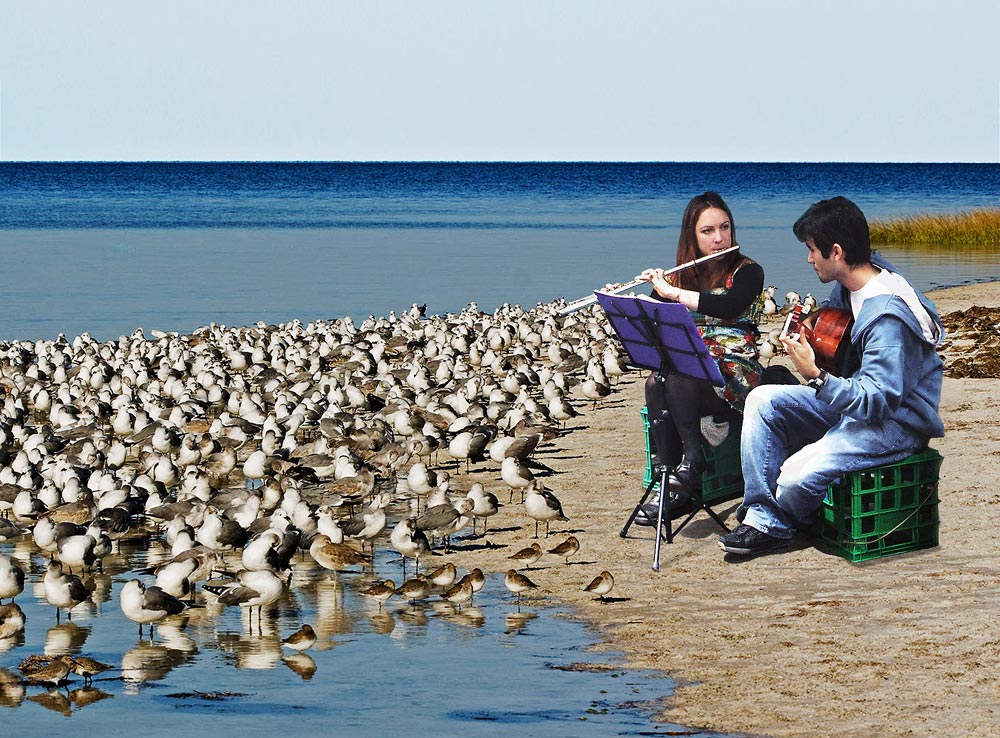 Photoshop Design by lygonz for DesignCrowd (Community Contests) | Design #8957361