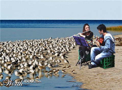 Photoshop Design by lygonz