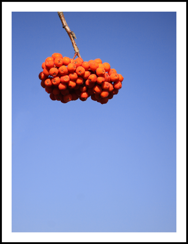 Photography by Limitchik for DesignCrowd (Community Contests) | Design #8954502