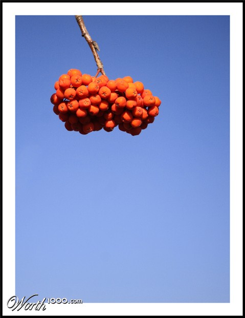 Photography by Limitchik