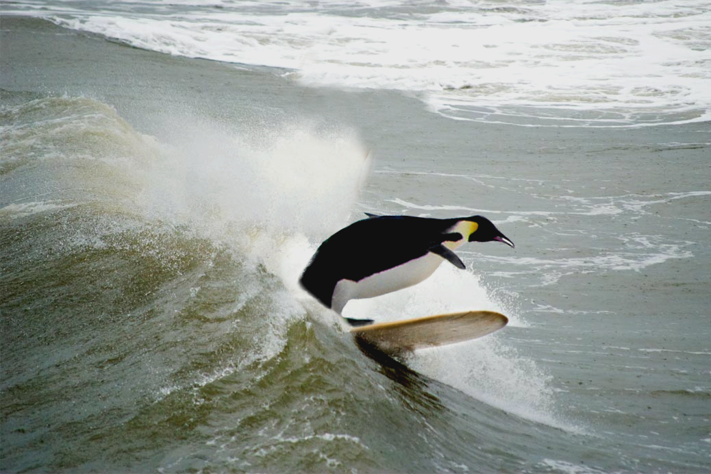 Photoshop Design by jrsoares for DesignCrowd (Community Contests) | Design #8954289