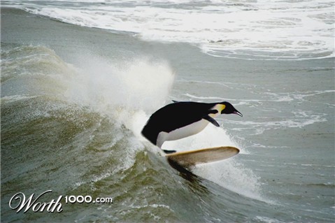 Photoshop Design by jrsoares