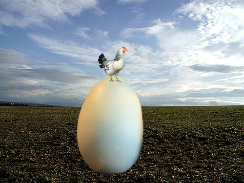 Photoshop Design by steveshoots for DesignCrowd (Community Contests) | Design #8958015