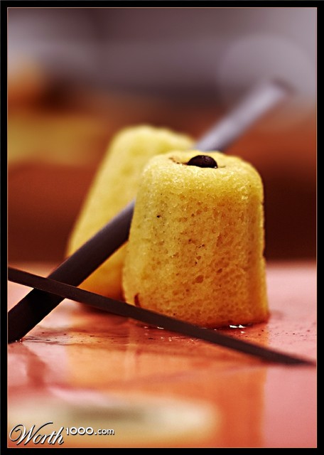 Photography by damas100