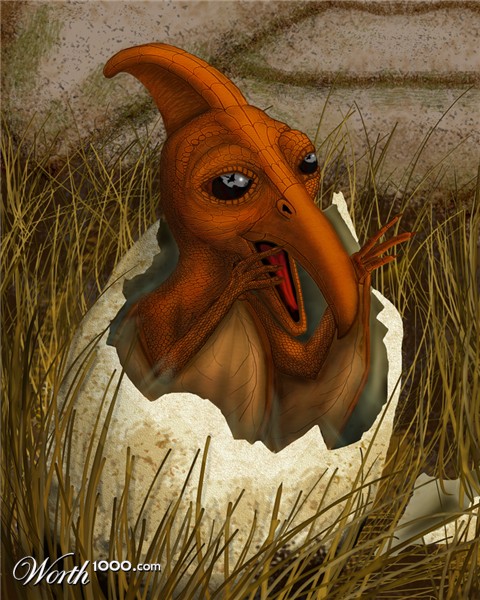 Illustration Design by mayfae