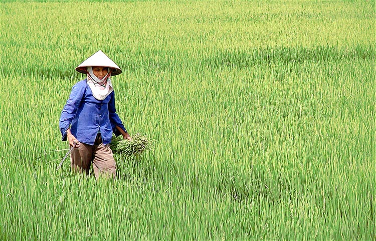 Photography by DonLuigi for DesignCrowd (Community Contests) | Design #8954512