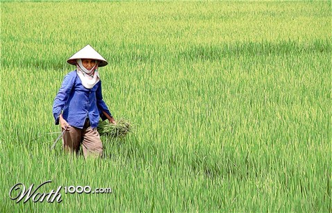 Photography by DonLuigi