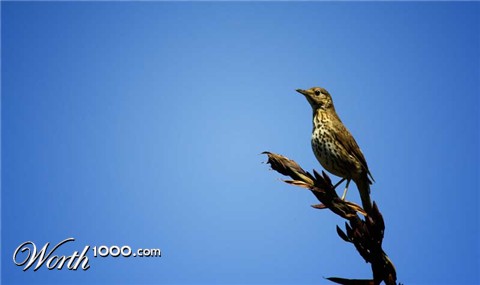 Photography by elfrencho