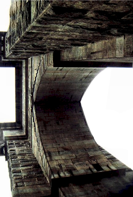 Photography by JoneSyMouSeY for DesignCrowd (Community Contests) | Design #8955458