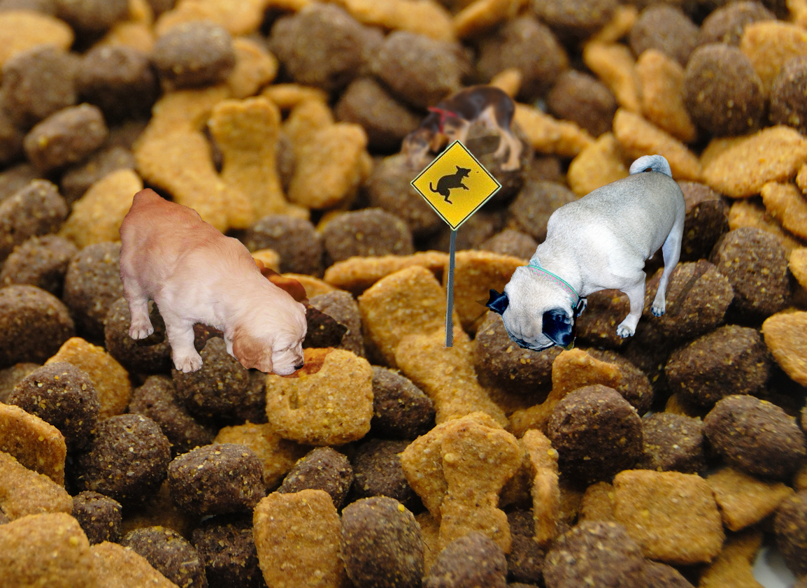 Diseño de Photoshop por joacosack para DesignCrowd (Community Contests) | Diseño #8958056