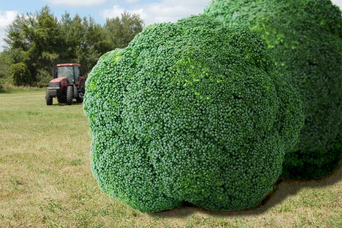 Photoshop Design by margold for DesignCrowd (Community Contests) | Design #8958067