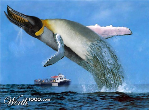 Photoshop Design by StephenP