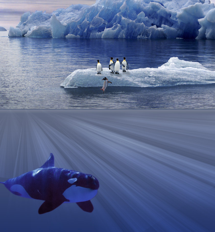 Photoshop-Design von Dave0585 für DesignCrowd (Community Contests) | Design #8954365