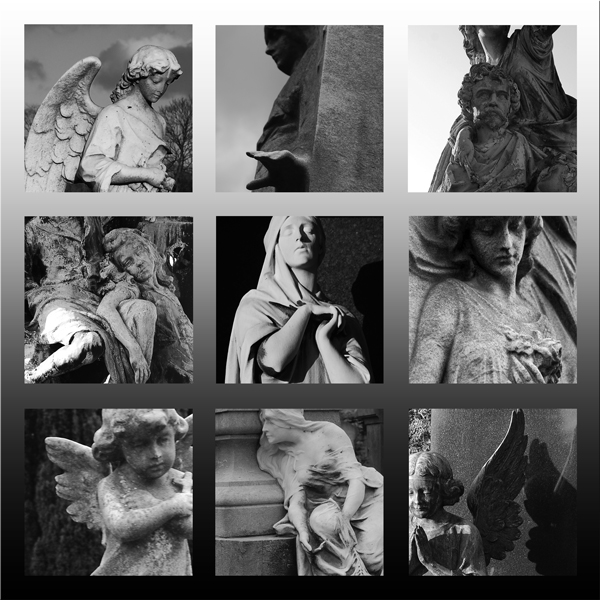 Photography by marymagdalyne for DesignCrowd (Community Contests) | Design #8951748