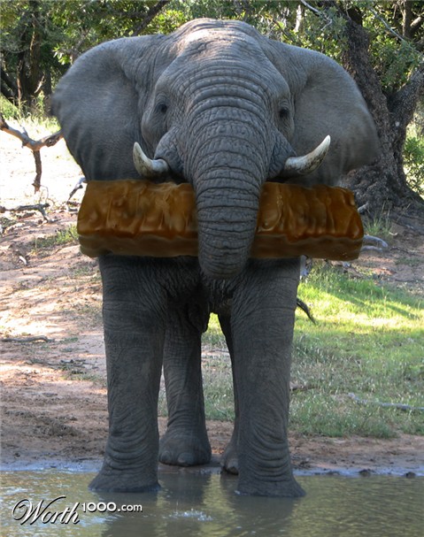 Photoshop Design by kempony