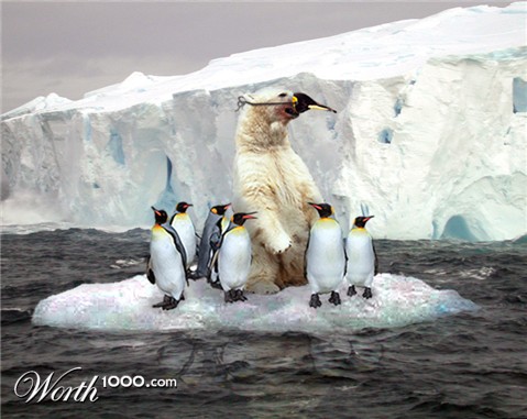 Photoshop Design by designereye