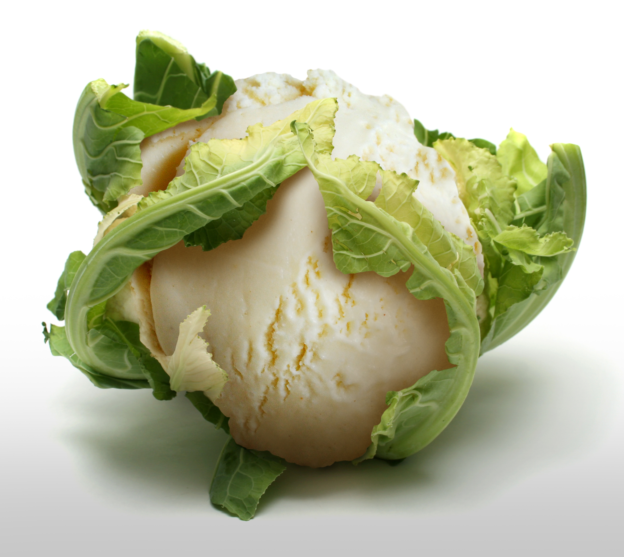 Photoshop Design by Kwyjibo78 for DesignCrowd (Community Contests) | Design #8957247