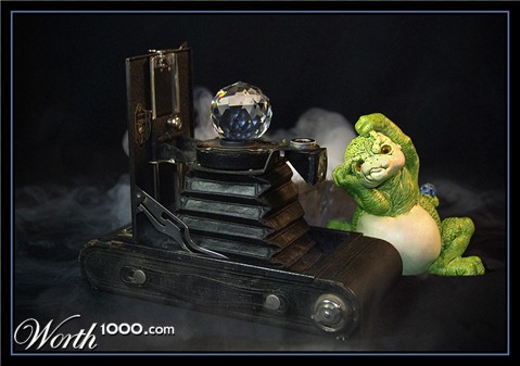 Photography by cshutt