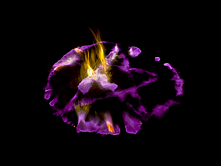 Fotografie von egonlinden für DesignCrowd (Community Contests) | Design #8955981