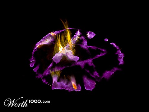 Photography by egonlinden