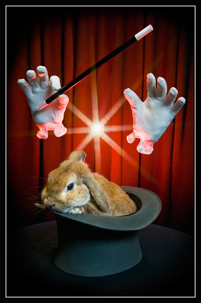 Photography by Fishcat for DesignCrowd (Community Contests) | Design #8955974