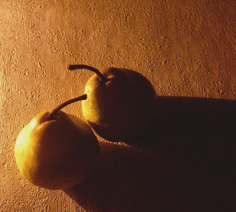 Photography by sgatanstu for DesignCrowd (Community Contests) | Design #8955163