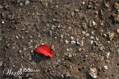 Photography by hollistereagle8