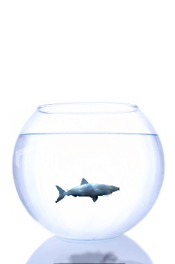 Design Photoshop par alp400 pour DesignCrowd (Community Contests) | Design #8952861