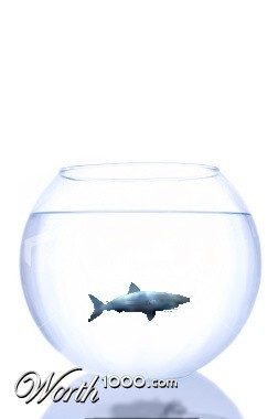 Photoshop Design by alp400