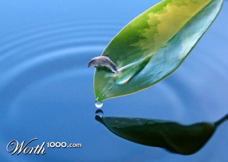 Photoshop Design by flamped