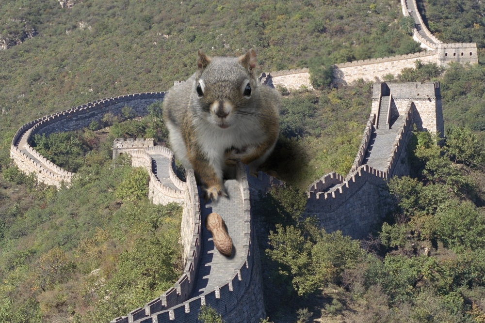 Photoshop-Design von cmumiddle für DesignCrowd (Community Contests) | Design #8952915