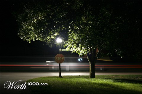 Photography by CaitD2000