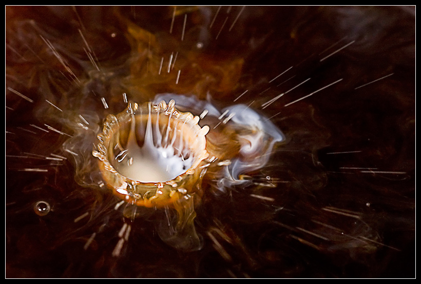 Fotografie von Marian für DesignCrowd (Community Contests) | Design #8959454