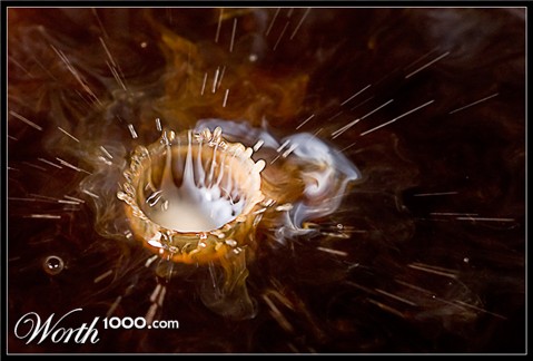 Photography by Marian