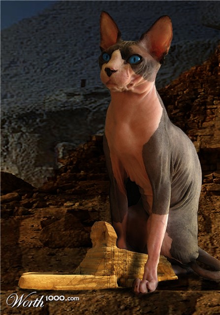 Photoshop Design by Denase