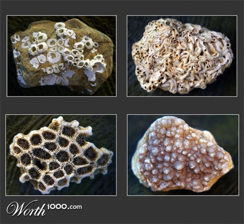 Photography by JANIELLE