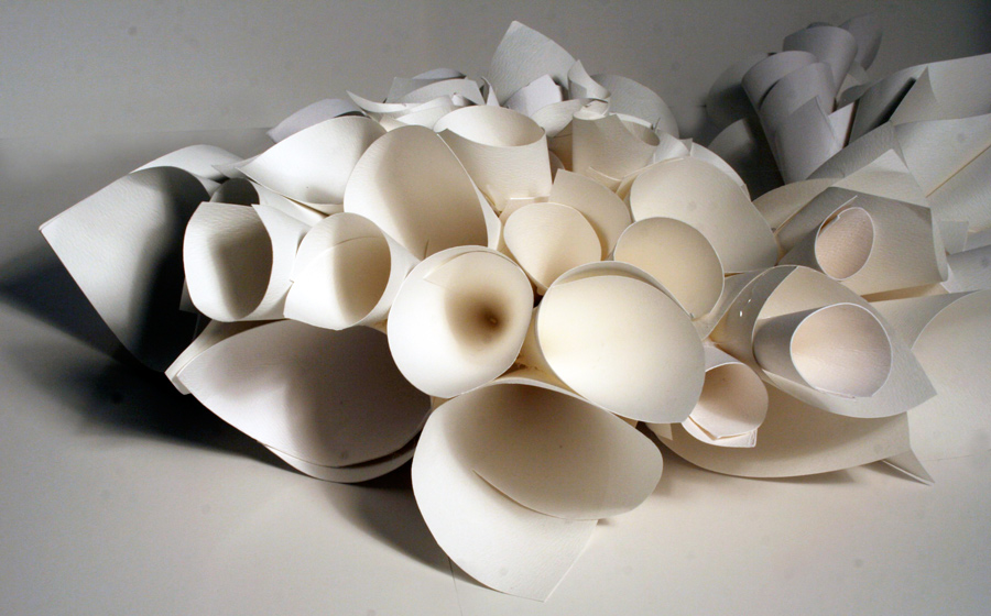 Photography by rebeccatroy for DesignCrowd (Community Contests) | Design #8955197