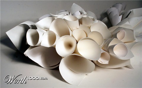 Photography by rebeccatroy