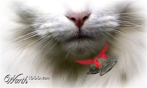 Photoshop Design by missclaudia