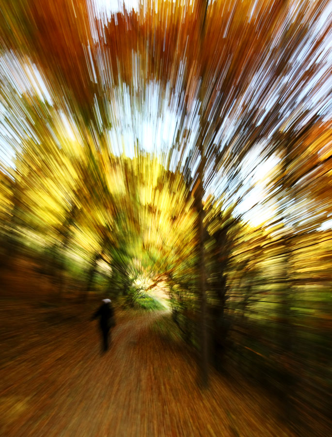 Photography by Nomnom for DesignCrowd (Community Contests) | Design #8959483