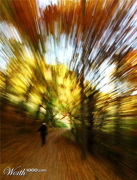 Photography by Nomnom