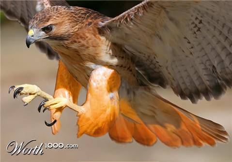 Photoshop Design by ConnieB