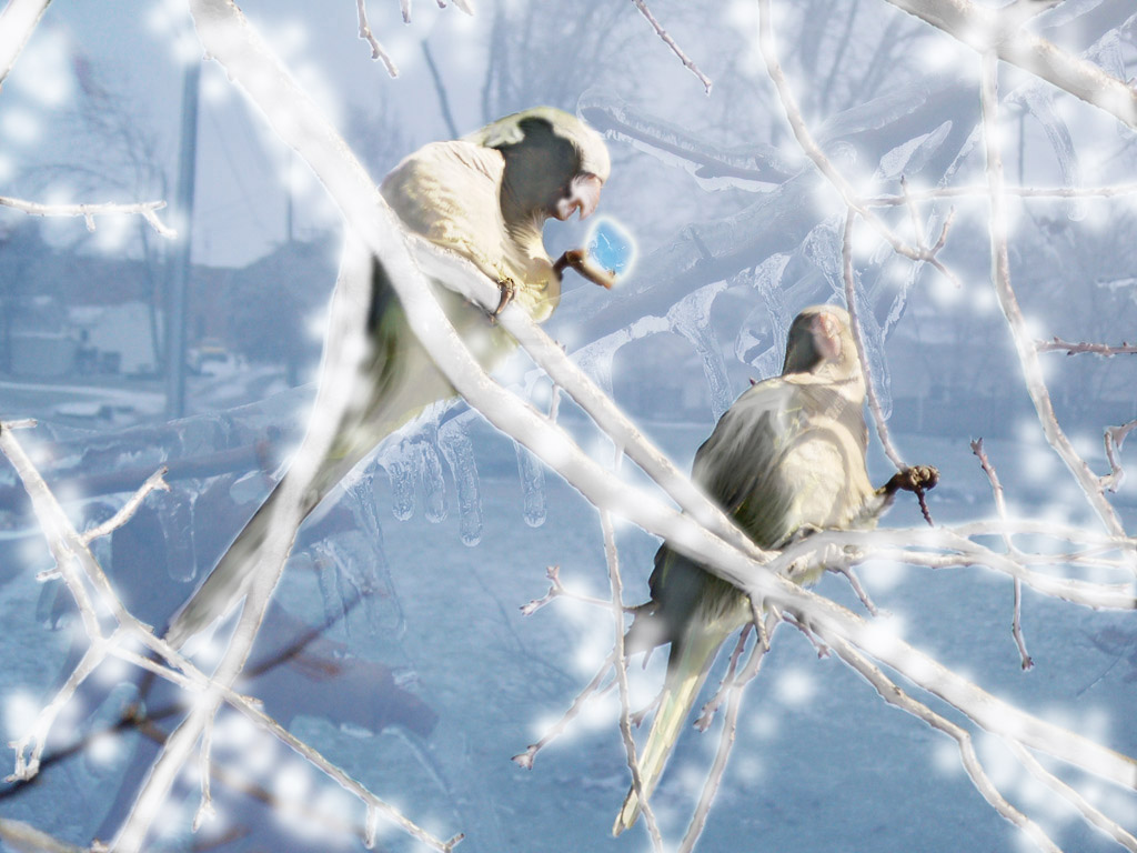 Photoshop Design by auxam47 for DesignCrowd (Community Contests) | Design #8956084