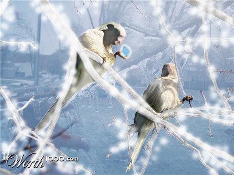 Photoshop Design by auxam47