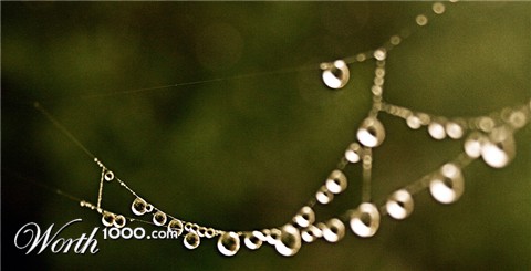 Photography by rebeccatroy