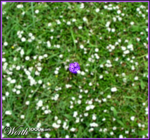 Photography by ICEBUNNY