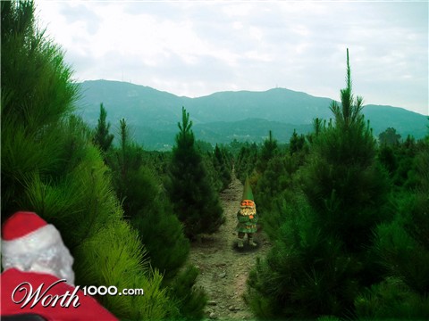 Photoshop Design by artsypants